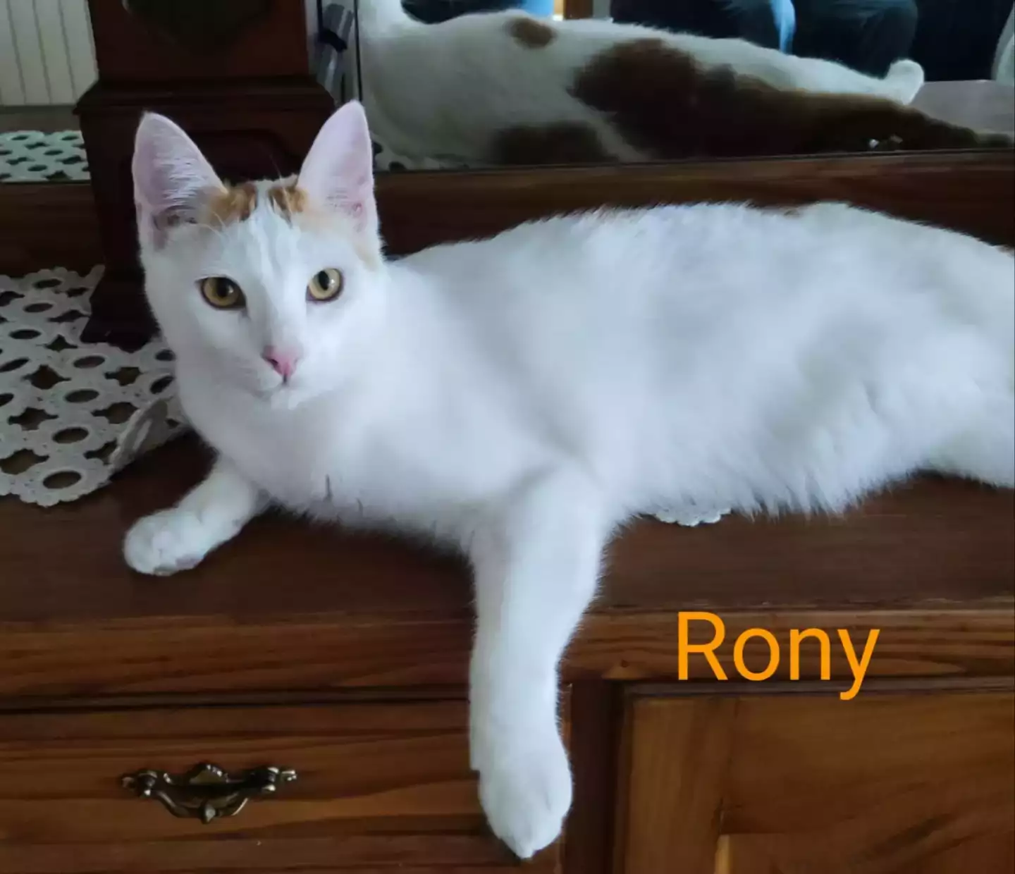 RONY