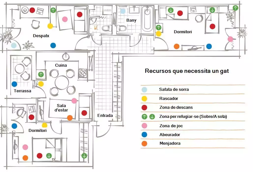 Guia per col·locar les coses del teu gat | Progat Palamós i S.Joan